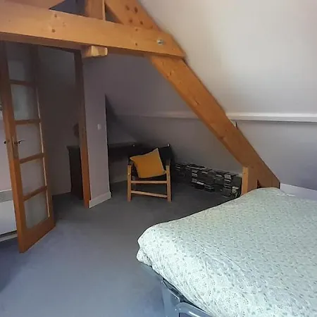 Cozy